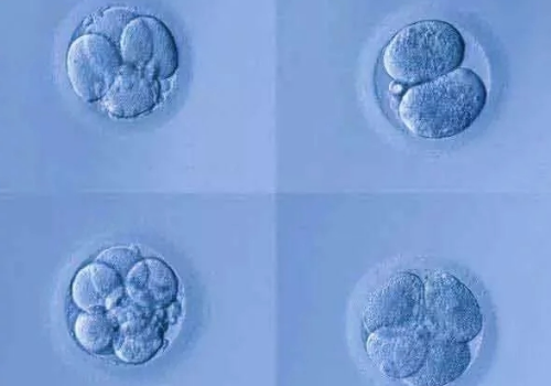 1638173564(1).jpg