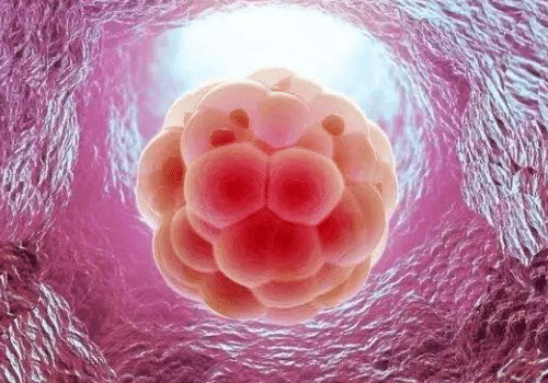 QQ浏览器截图20220121140126.png