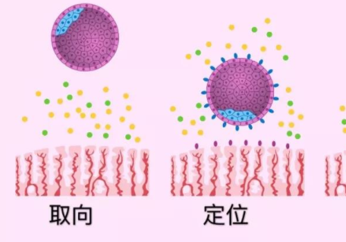 微信截图_20220310175208.png