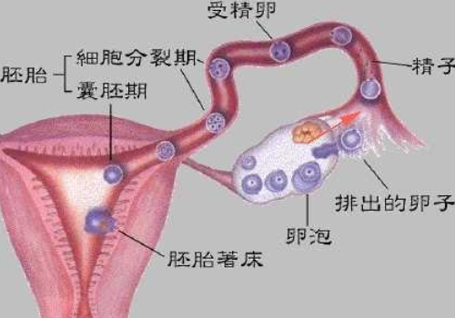 微信截图_20220311132019.png